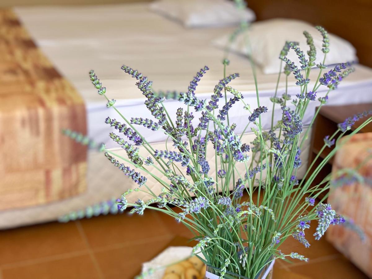 Hotel Plamena Palace Primorsko Luaran gambar