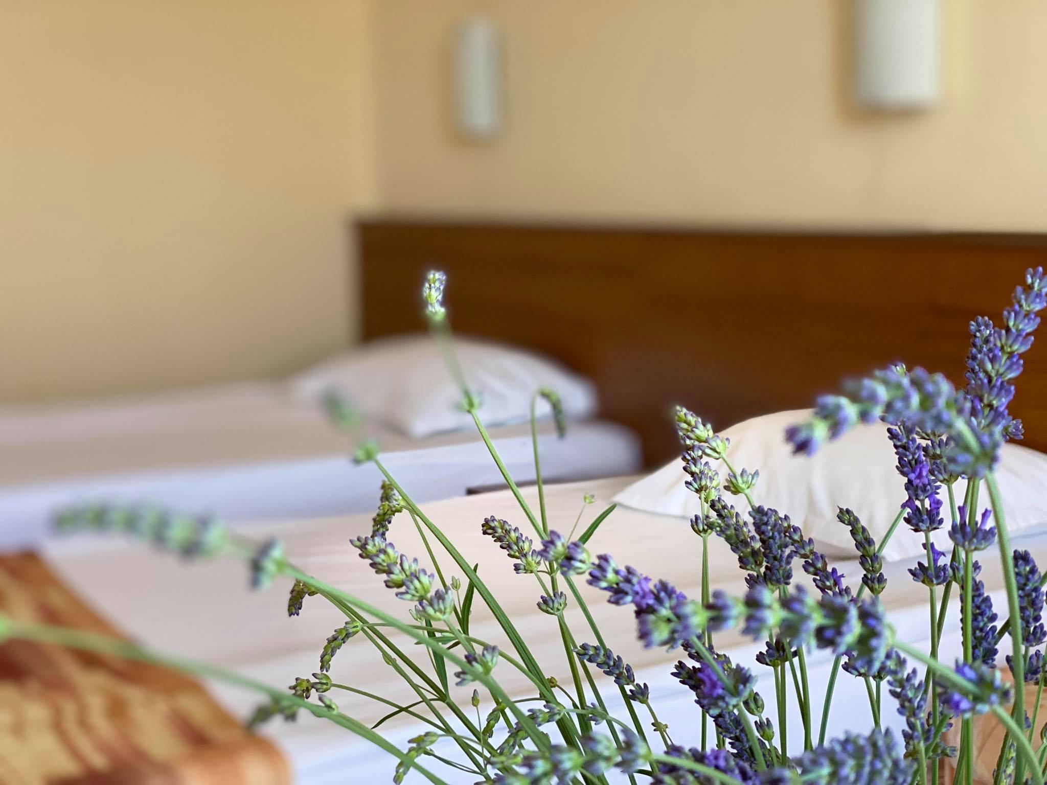 Hotel Plamena Palace Primorsko Luaran gambar